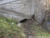 Imagine atasata: reabilitarea malurilor 341.jpg